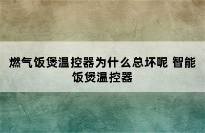 燃气饭煲温控器为什么总坏呢 智能饭煲温控器